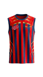 LSG Fan Jersey | Round Neck with Sleeve Lees | Custom Slogan, Name & Number | IPL Cricket T-Shirt | SPORTi5