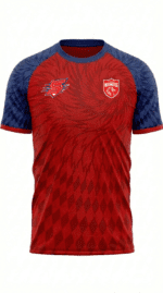 PBKS Fan Jersey | Round Neck with Half Sleeves | Custom Slogan, Name & Number| IPL Cricket T-Shirt | SPORTi5