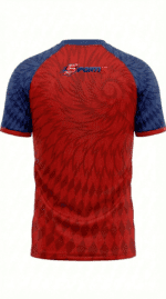 PBKS Fan Jersey | Round Neck with Half Sleeves | Custom Slogan, Name & Number| IPL Cricket T-Shirt | SPORTi5 - Image 2