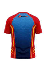 DC Fan Jersey | Round Neck with Half Sleeves | Custom Slogan, Name & Number| IPL Cricket T-Shirt | SPORTi5 - Image 2